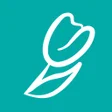 Цвет диванов icon