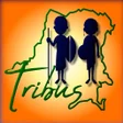 프로그램 아이콘: Les Tribus de la RDC