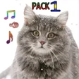 Ikona programu: Cat Ringtones Vol1