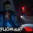 Icon of program: Flashlight Tag