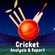 Cricket Analysis Report