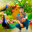 Programikonen: Peacock Photo Editor  Fra…