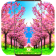 Icon of program: Sakura Wallpaper HD