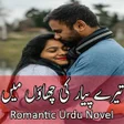 プログラムのアイコン：Tere Pyar Ki Chhaon Main-…