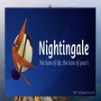 程序图标：Nightingale Tune