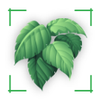 程序图标：Identify plant  weed by p…
