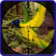 Ikona programu: Wild Bird Hunter :Hunting…