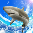 Icona del programma: Wild Shark Fishing