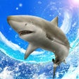 أيقونة البرنامج: Wild Shark Fishing