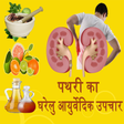 程序图标：Kidney Stone(पथरी) Home R…