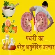 Kidney Stone(पथरी) Home Remedies Hindi