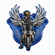 프로그램 아이콘: GUARDIÕES MOTOCA PASSAGEI…