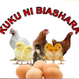 プログラムのアイコン：Ufugaji wa Kuku Kitaalamu
