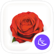Ikona programu: Rosa-APUS Launcher theme