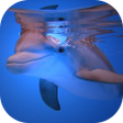 プログラムのアイコン：Dolphins HD Live Wallpape…