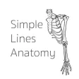 Simple Lines Anatomy