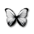 Symbol des Programms: Image