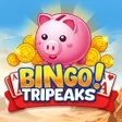 Programikonen: Bingo TriPeaks Solitaire