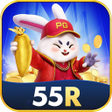 程序图标：55RBowling Ball