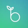 Blossom Social App