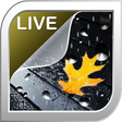 プログラムのアイコン：Rain Live Wallpaper