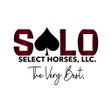 Ikon program: Select Online Horse Sales