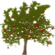 Иконка программы: WinDirStat Portable