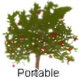 Ikona programu: WinDirStat Portable