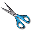 Icon of program: Capture Assistant