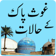 プログラムのアイコン：Gous Pak K Halat