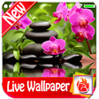 Icon of program: Flowers Park Live Wallpap…