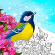 Icon of program: Birds Coloring Art Book