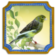 程序图标：Spanish Timbrado Canarian…