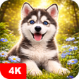プログラムのアイコン：Puppy Wallpapers 4K