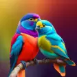 Cute Parrot 4K Bird Wallpapers