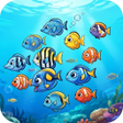 Icoon van programma: Ocean Fish Feast