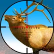 Icon of program: Dino Hunter Shooter 3D :W…