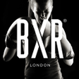 程序图标：BXR