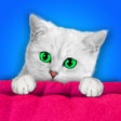 프로그램 아이콘: Find the Cats  Free Photo…