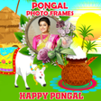Icoon van programma: Pongal Photo Frames