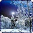 プログラムのアイコン：Snowfall Free Live Wallpa…