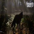 程序图标：Untamed Kingdom