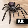 AR Spiders  Co: Scare friends
