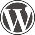Programikonen: WordPress