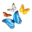 Icon of program: myChildrens