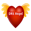 Icon of program: DNS Angel
