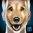 What are you dog face id scanner simulator