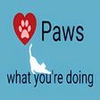 Icon of program: Paws what you're doing