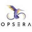 Programikonen: Opsera