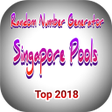 プログラムのアイコン：Singapore Pools